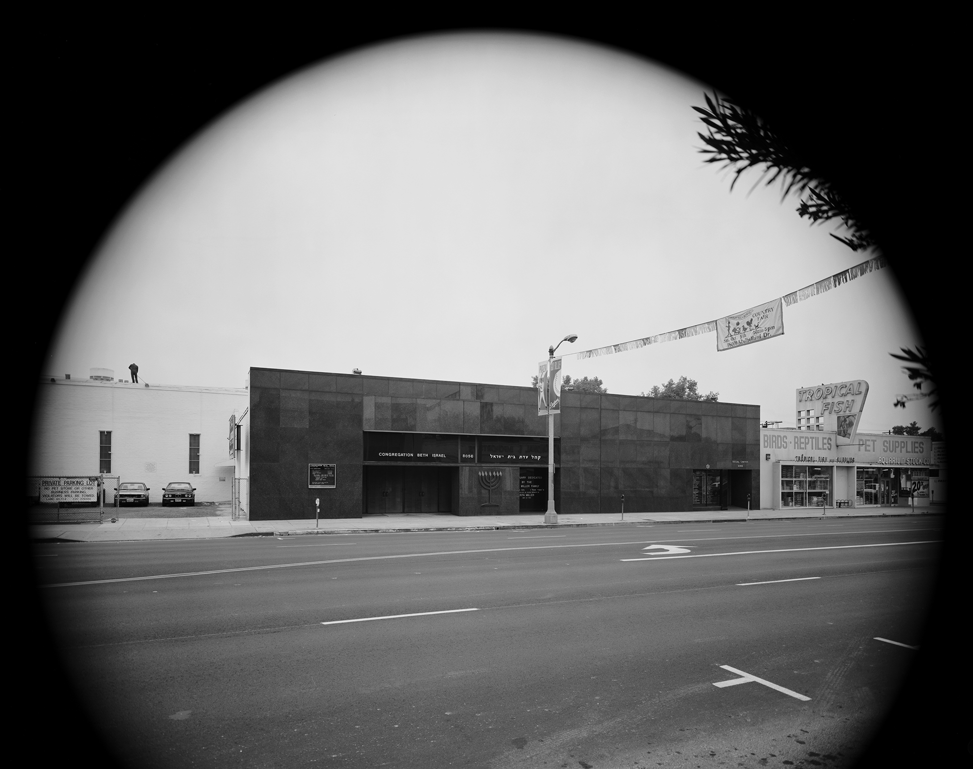 Jeff Wall, ‘8056 Beverly Blvd, Los Angeles …’, 1996